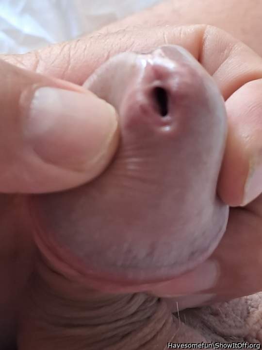 Photo of a prick from Havesomefun