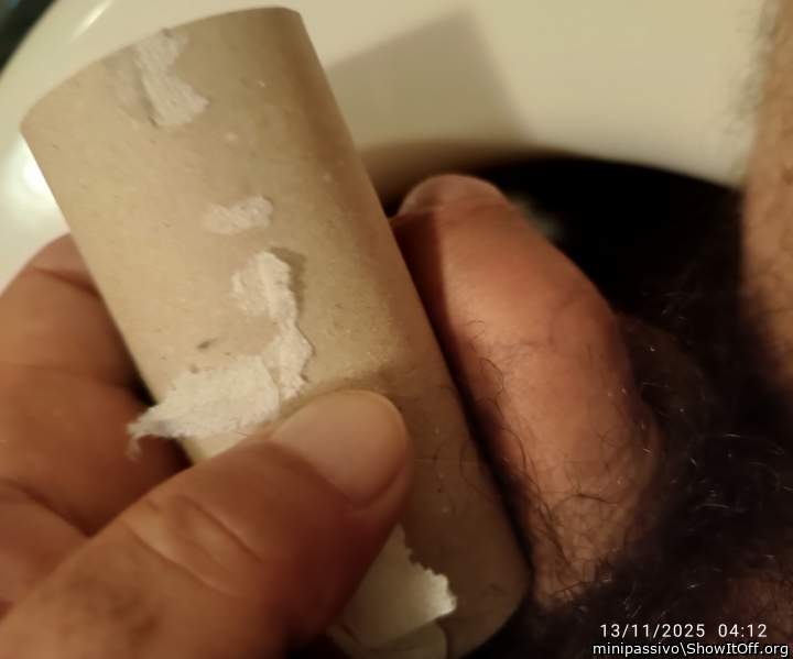 Photo of a snake from minipassivo