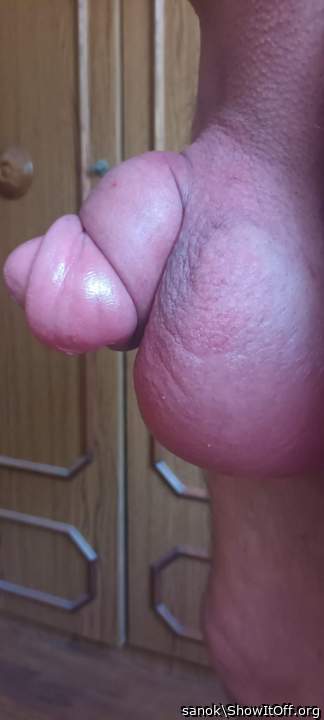 Testicles Photo from sanok