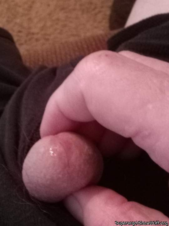 Photo of a hot dog from Superargo