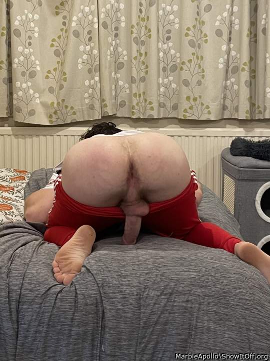 Grab my cock or take my ass?? Do tell im desperate to know