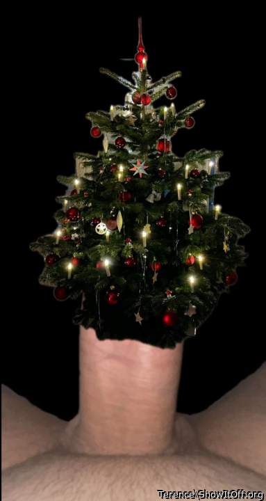 Photo of a cock from Terence