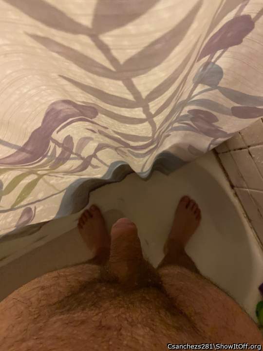 Photo of a bat from Csanchezs281
