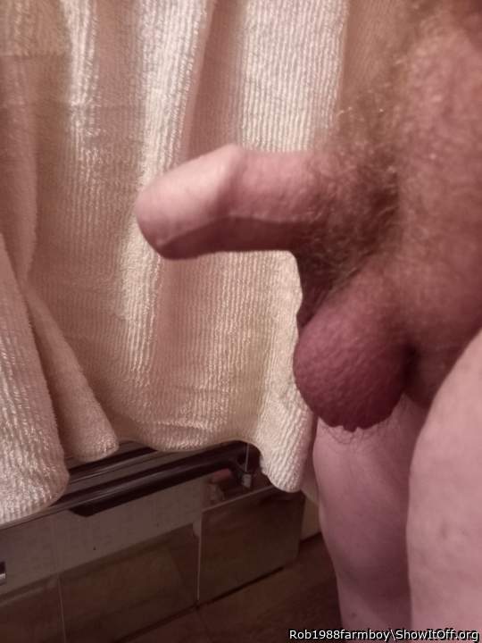 Photo of a ram rod from Rob1988farmboy