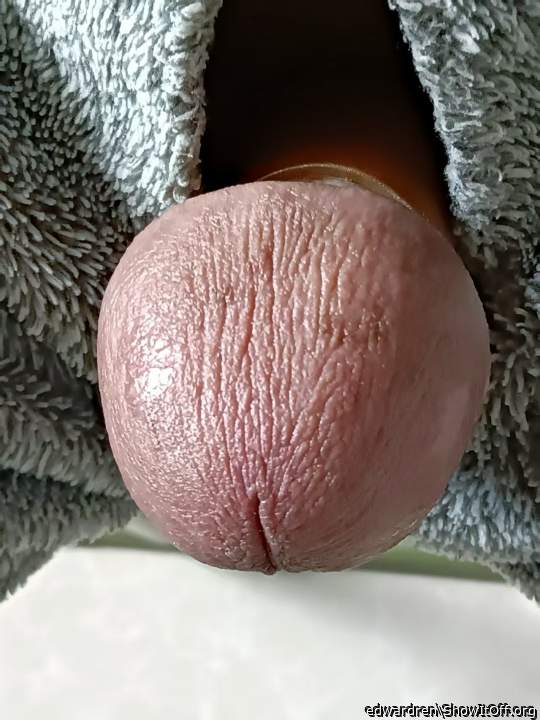 Photo of a weasel from edwardren