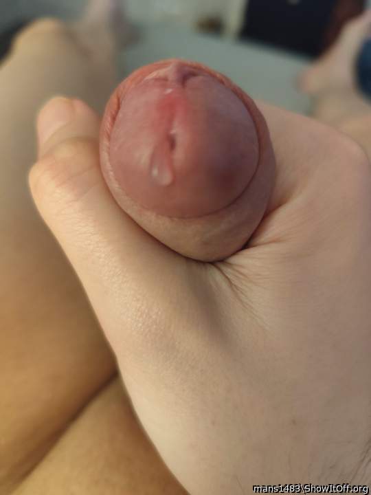 Photo of a phallus from mans1483