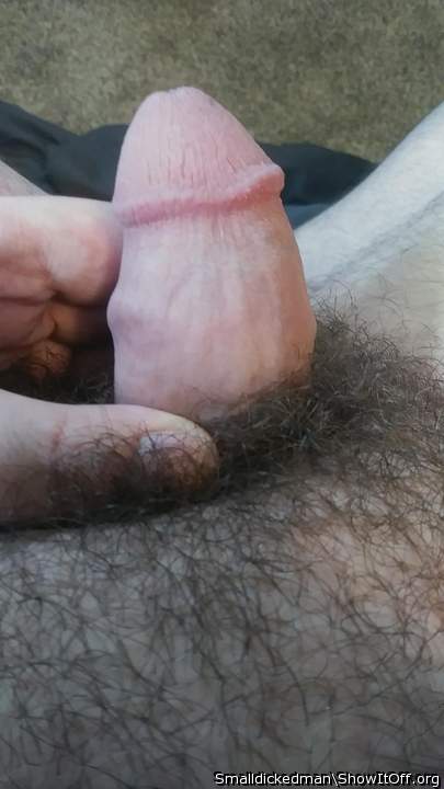 Photo of a dick from Smalldickedman
