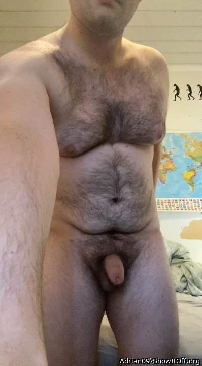 Hairy guy with an attractive uncircumcised dick 