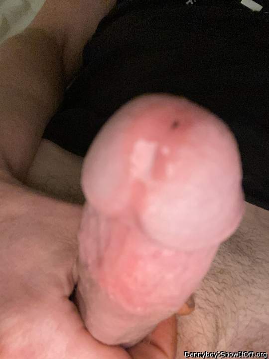 Photo of a wiener from Dannyboy