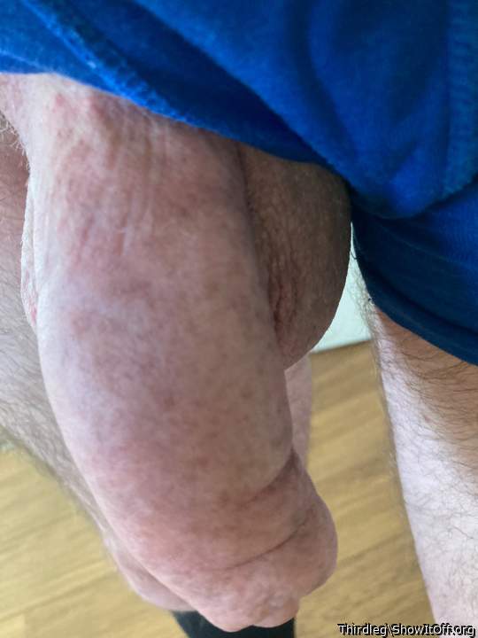 Photo of a boner from Thirdleg