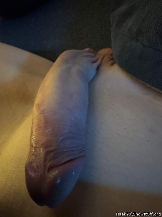 Photo of a middle leg from Haak90