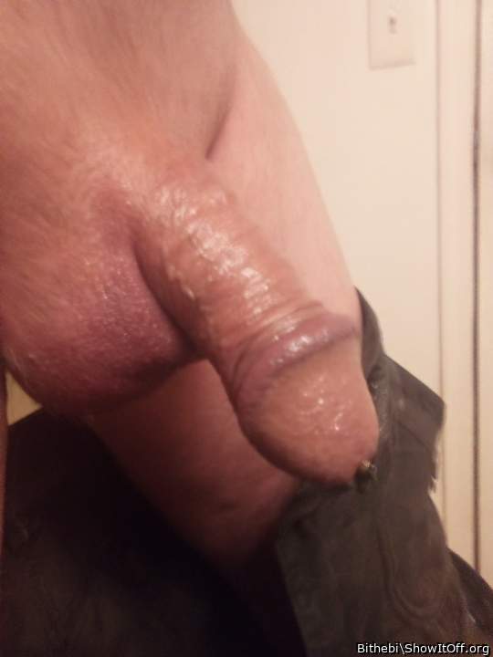 Photo of a short leg from Bithebi