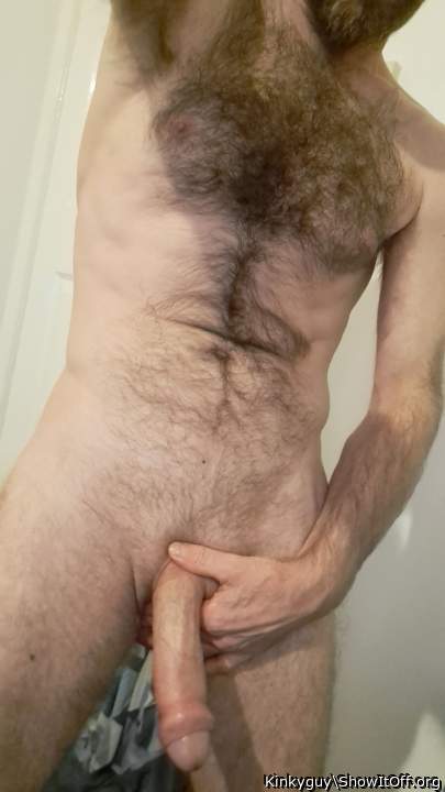 Photo of a weasel from Kinkyguy