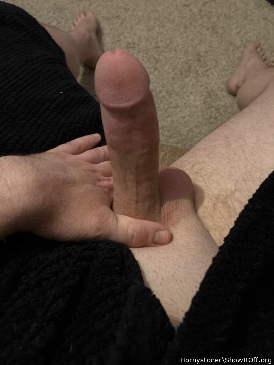 Photo of a rooster from Hornystoner