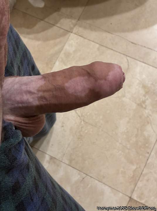 Photo of a weasel from Hornyman1975