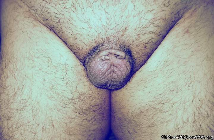 Official clitty audit: Turtled to under 1cm of nothing. Is this a penis?