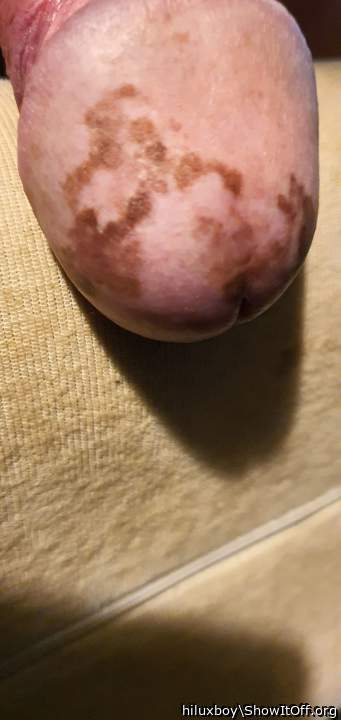 Photo of a rooster from hiluxboy