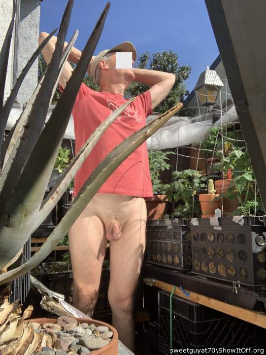 Adult image from sweetguyat70