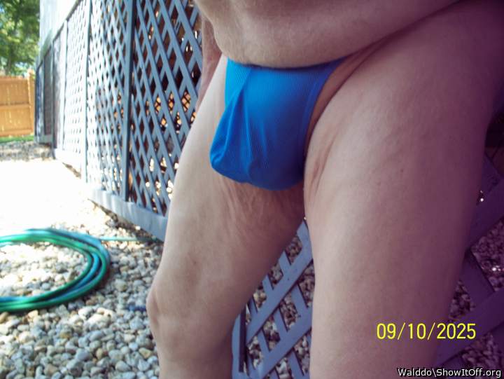 Photo of a stiffie from Walddo