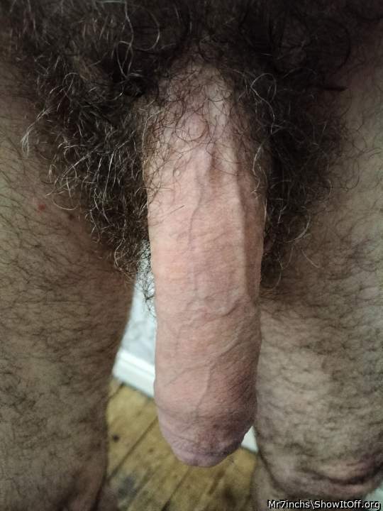 Penis