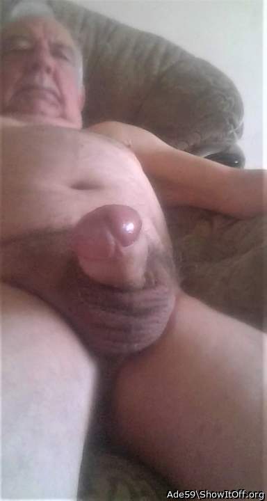 Photo of a short leg from Ade59
