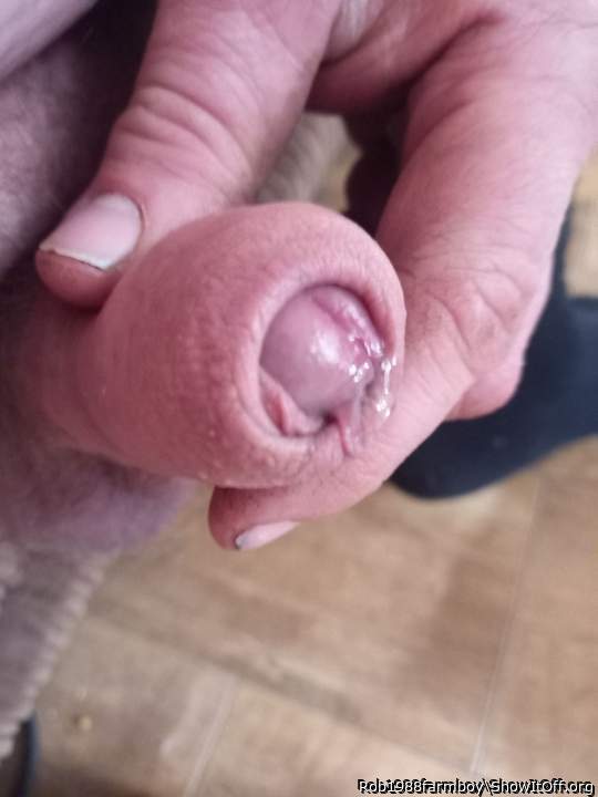 Photo of a wiener from Rob1988farmboy