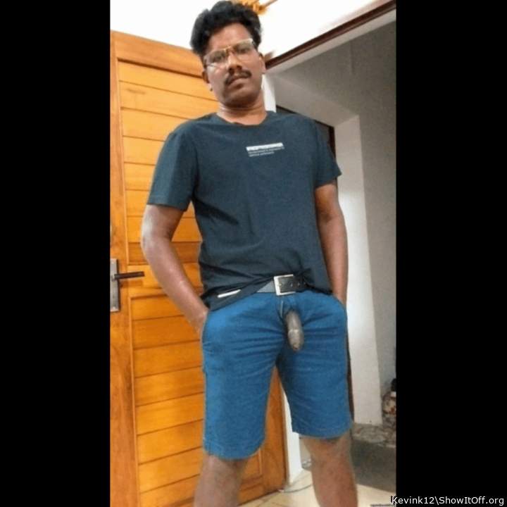 Photo of a lizard from Kevink12