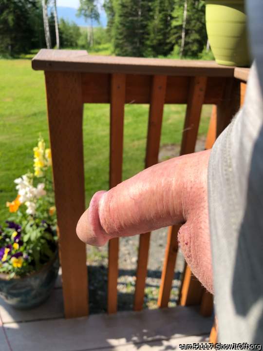 Photo of a penile from sam51117
