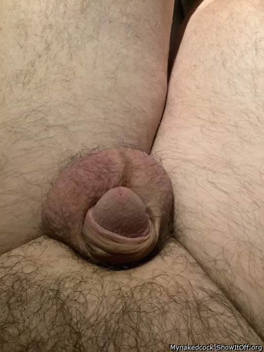 Photo of a dick from Mynakedcock