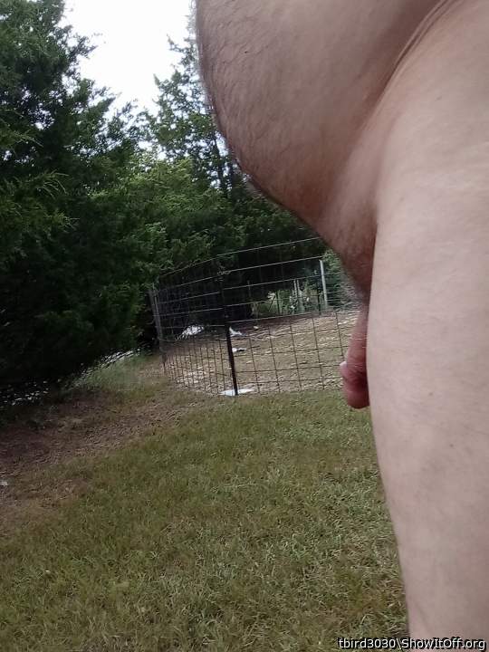 Photo of a dick from tbird3030