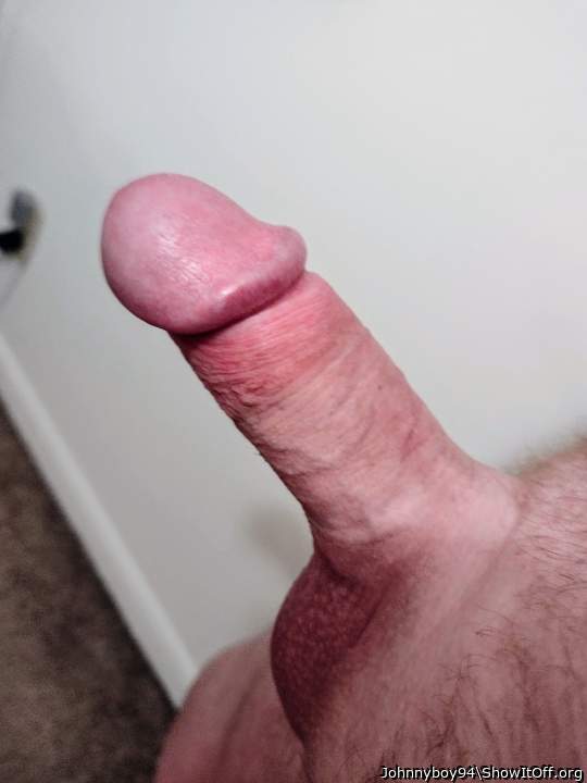Photo of a cock from Johnnyboy94
