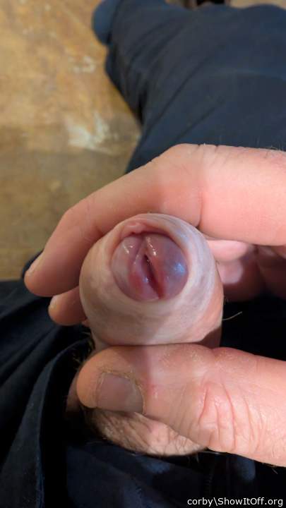 Photo of a pecker from corby