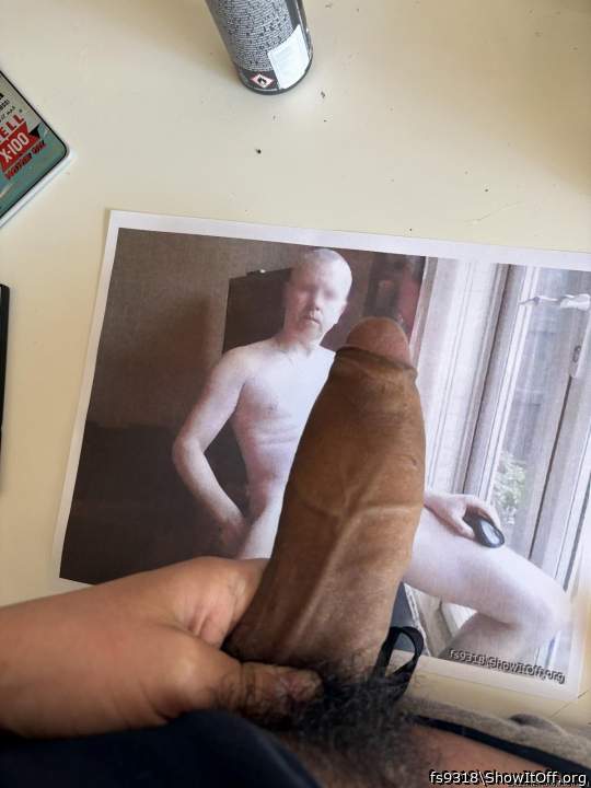 Photo of a weasel from fs9318