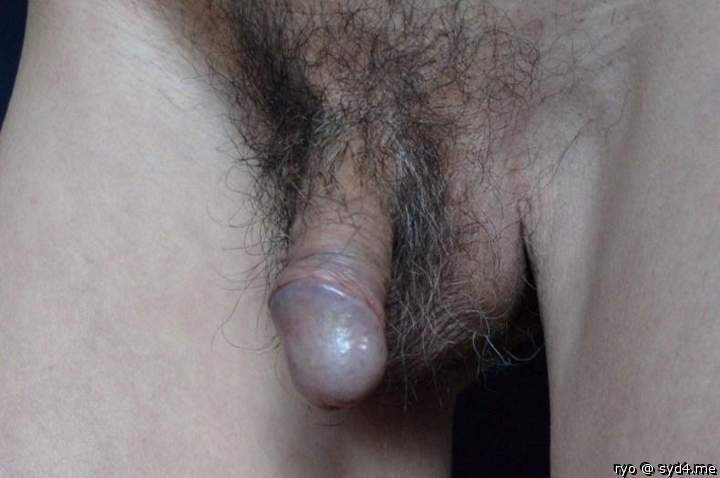Photo of a dick from ryo