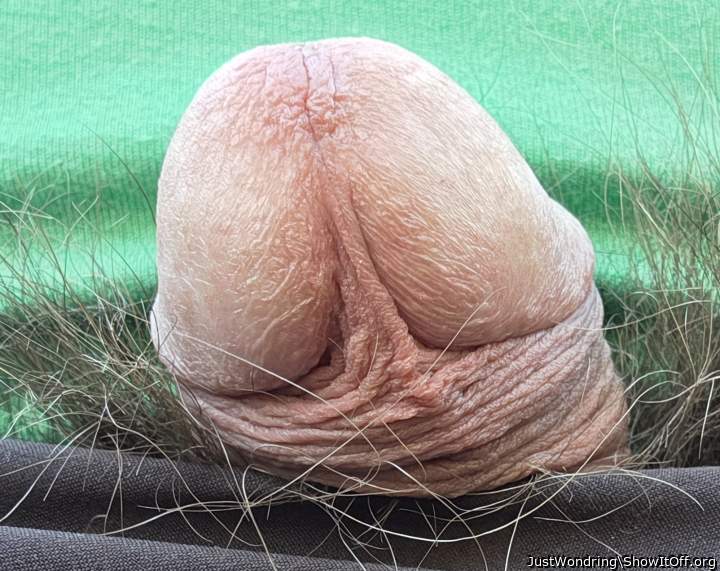 Photo of a dong from JustWondring