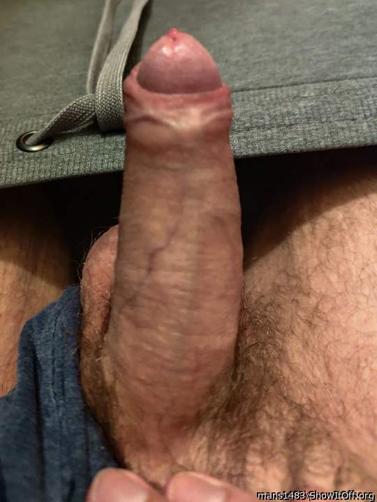 Photo of a middle leg from mans1483