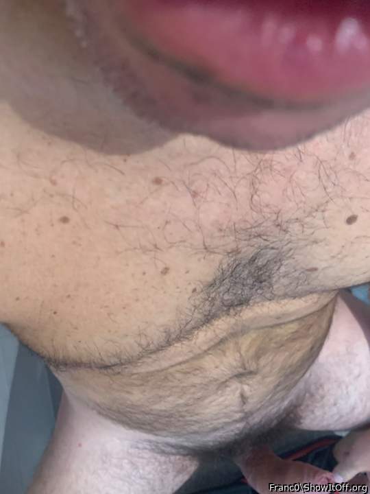 Photo of a cock from Franc0