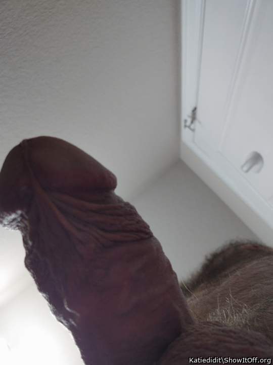 Photo of a cock from Katiedidit