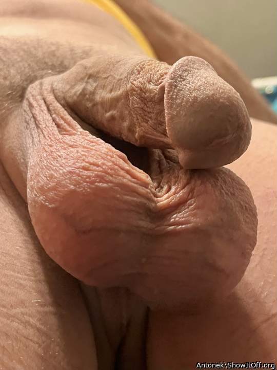 Photo of a meat stick from Antonek