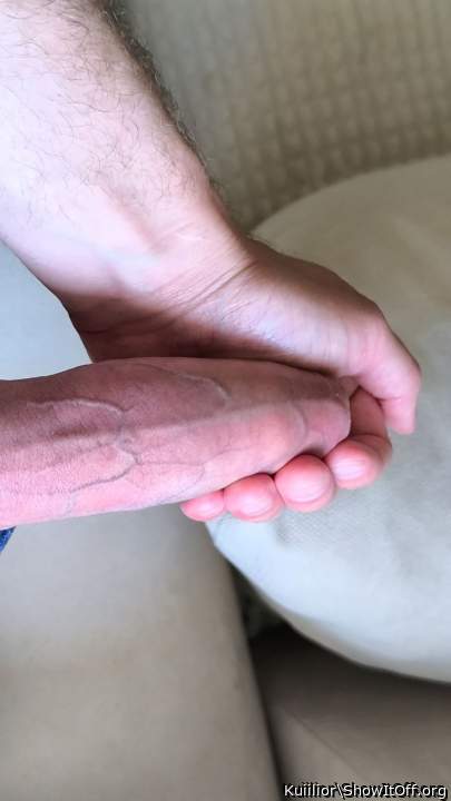Veins