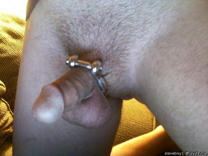Photo of a dick from slaveboy1