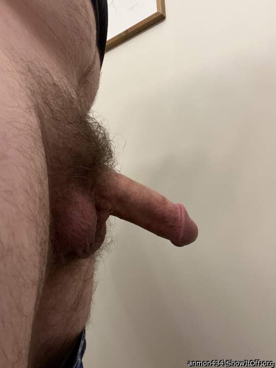 Photo of a dick from anmon434