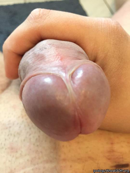 A nice close up of your cock, just before I suck him     
