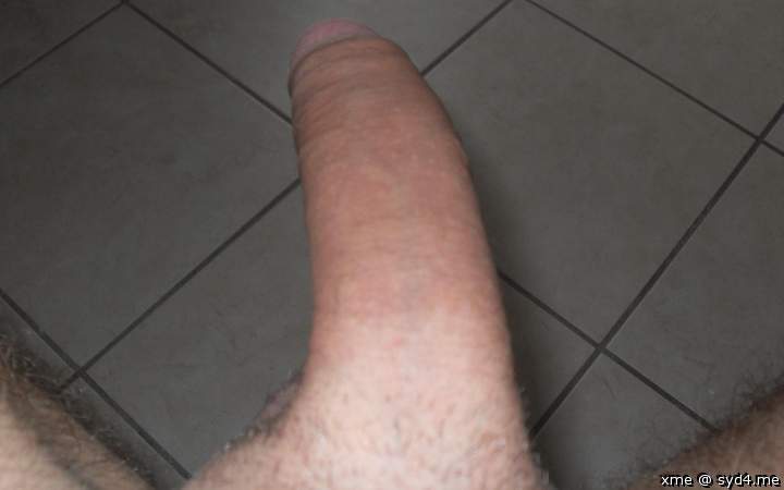 Photo of a middle leg from xme