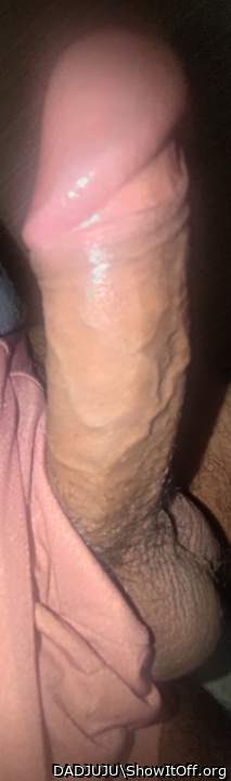 Photo of a weasel from DADJUJU
