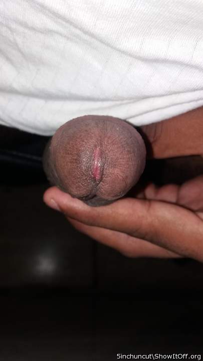 Photo of a horn from 5inchuncut
