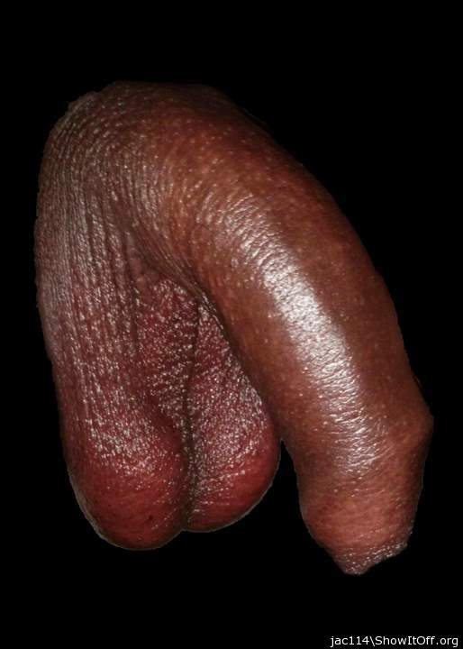 Photo of a cock from jac114