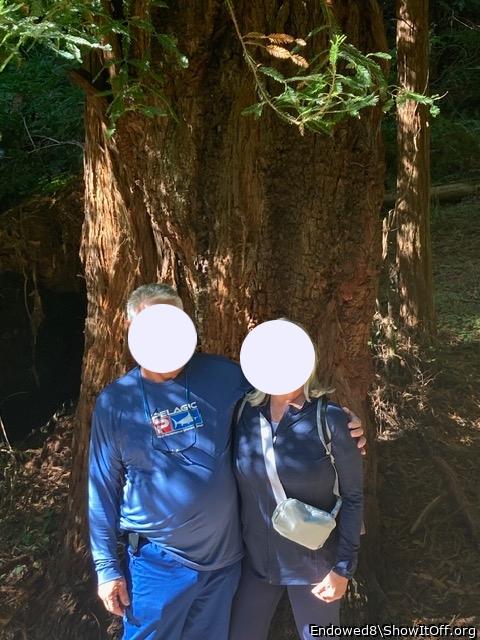 Photo of a thing from Endowed8