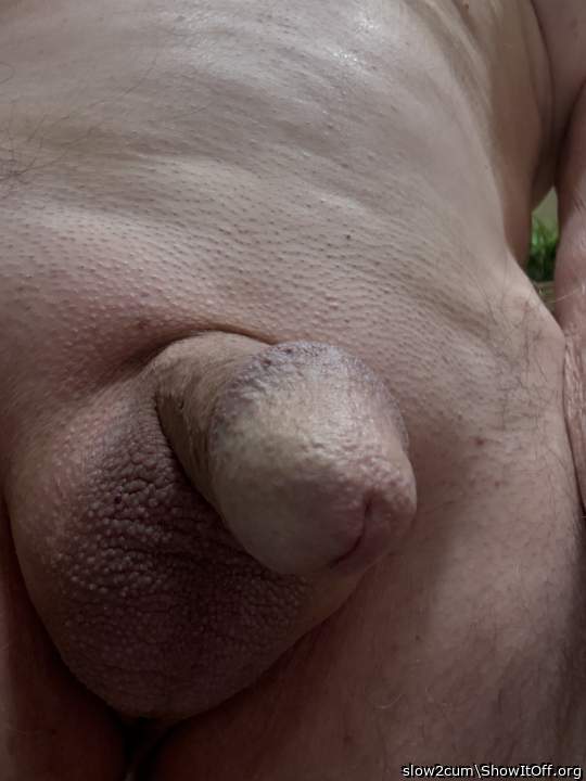 Photo of a hot dog from slow2cum