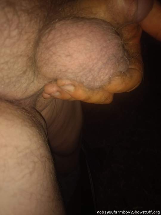 Photo of a short leg from Rob1988farmboy